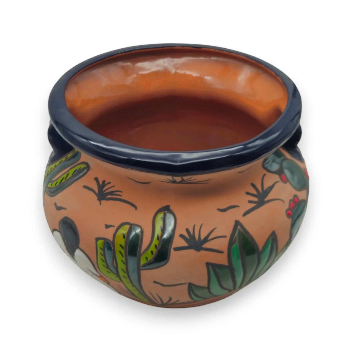 Ceramic pot with cactus design on a white background
